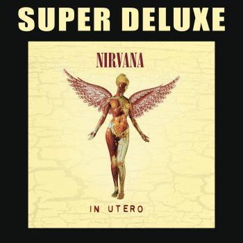 Nirvana Heart Shaped Box - Live & Loud