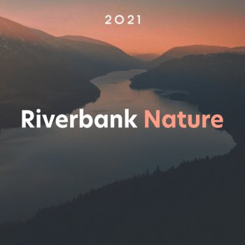 The Sounds of Earth Group The Monkey Forest