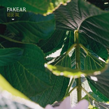 Fakear La danse des étoiles