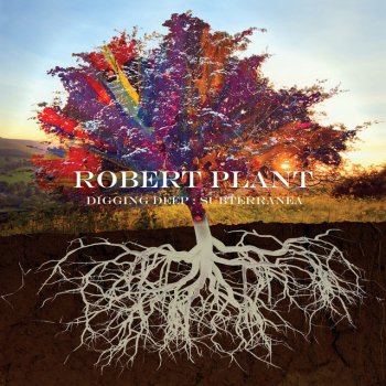 Robert Plant White, Clean and Neat - 2006 Remaster