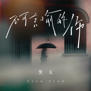 Исполнитель 笑天, альбом 不可言喻的伤