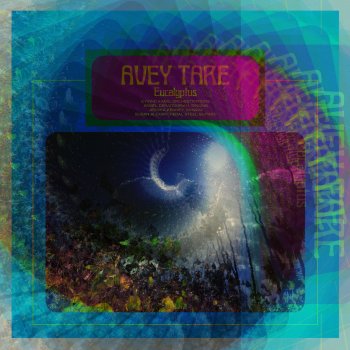 Avey Tare Selection of A Place