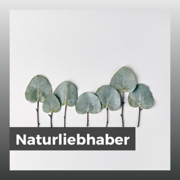 Naturgeräusche The Lungs of the Earth