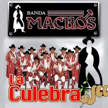 Banda Machos Mamá Soltero