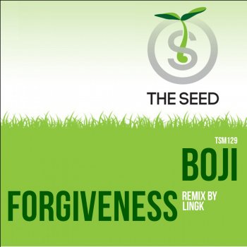 Boji Forgiveness (Lingk Remix)