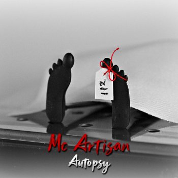 Mc Artisan Autopsy