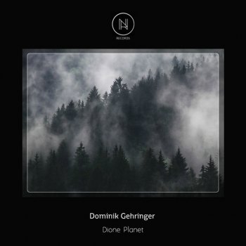 Dominik Gehringer Resonance