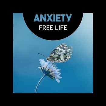 Relieving Stress Music Collection Body Harmony