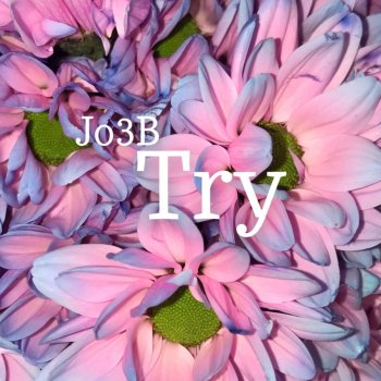 Joe Brown Try