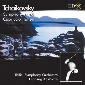 Tbilisi Symphony Orchestra Symphony No.5 In E Minor Op. 64: Andante - Allegro Con Anima