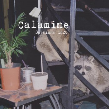 Calamine Grosse gouine rabat-joie