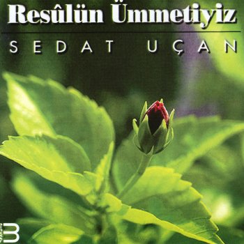 Sedat Uçan Rahmeyle