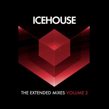 ICEHOUSE Wild - The Revolution Mixes
