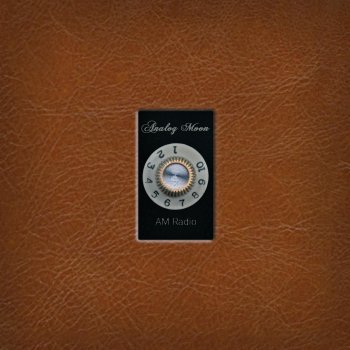 Исполнитель Analog Moon, альбом AM Radio
