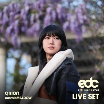 Qrion Discotheque (Totally Enormous Extinct Dinosaurs Remix) [Mixed]