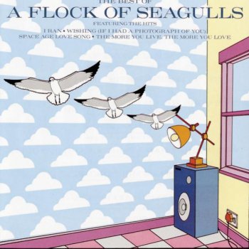 A Flock of Seagulls Talking