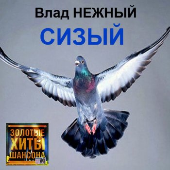 Влад Нежный Сизый