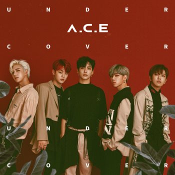 A.C.E Under Cover