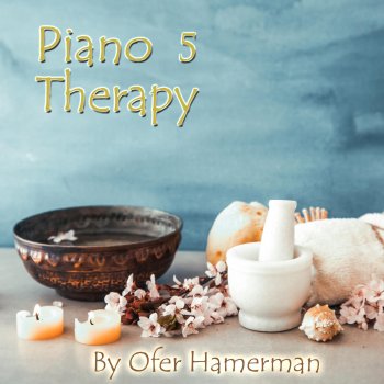 Ofer Hamerman Slide to the World