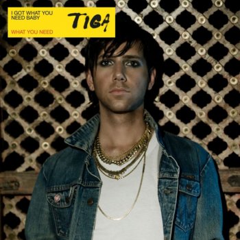 Tiga What You Need (Zombie Nation remix edit)