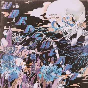 The Shins Painting a Hole (Flipped)