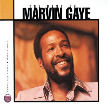Marvin Gaye You're the Man