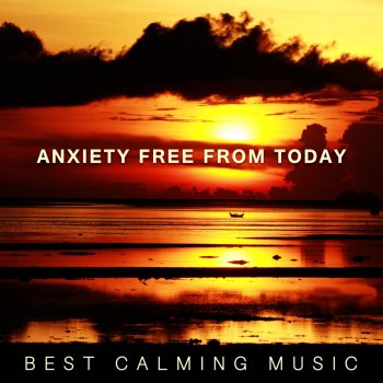 Deep Sleep Maestro Mindfulness Meditation