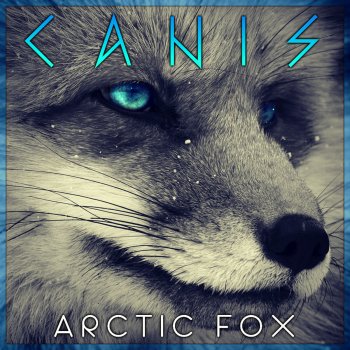 Canis Arctic Fox