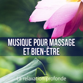 Ensemble de Musique Zen Relaxante Musique de massage