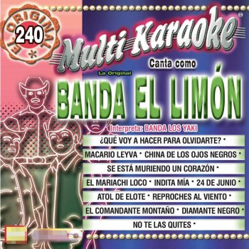 Multi Karaoke China De Los Ojos Negros