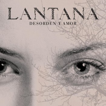 Lantana Miedo