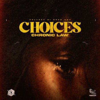 Chronic Law Choices