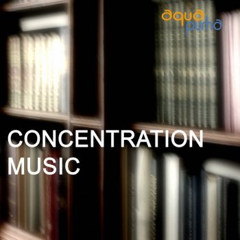 Concentration Music Ensemble Air