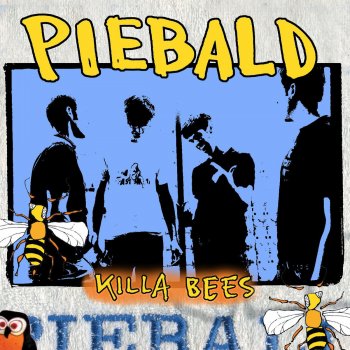 Piebald Song About Sex