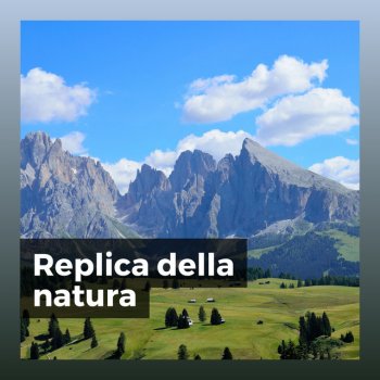 Zona Pura Di Suoni Naturali Suoni di uccelli