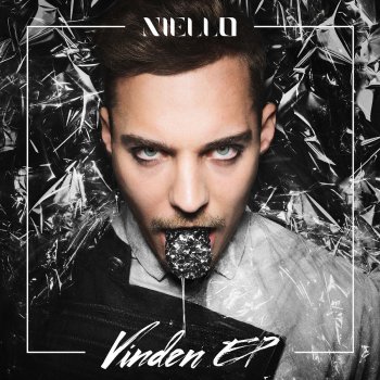 Niello Vinden - Radio edit