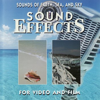 Sound Effects Sea: Waves Crashing On Beach