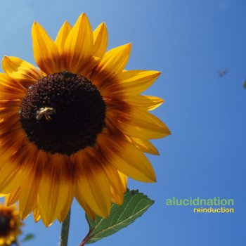 Исполнитель Alucidnation, альбом Re-Induction