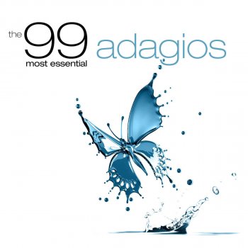 Arife Gülsen Tatu feat. Salzburg Soloists Concerto No. 1 in G Major for Flute and Orchestra, K. 313: II. Adagio non troppo
