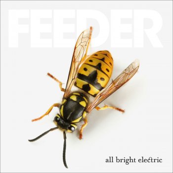 Feeder Infrared-Ultraviolet