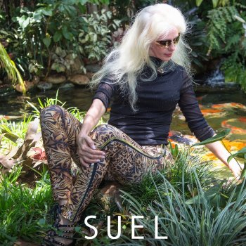 Suel Tapinha de Amor