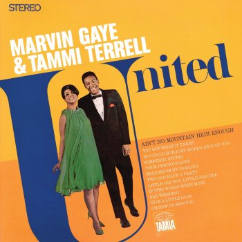 Marvin Gaye & Tammi Terrell Ain't No Mountain High Enough - Mono Version