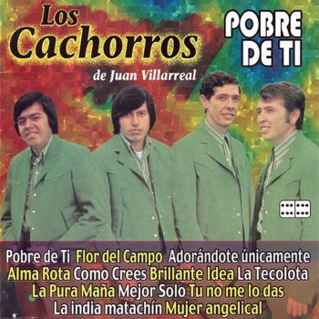 Los Cachorros de Juan Villarreal Alma Rota