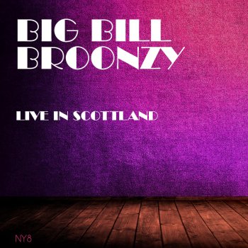 Big Bill Broonzy In the Evening When the Sun Goes Down (Live In Scottland)