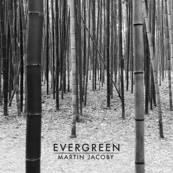 Martin Jacoby Law of Attraction