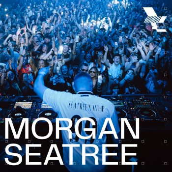 Morgan Seatree Say My Name (Remix) [Mixed]