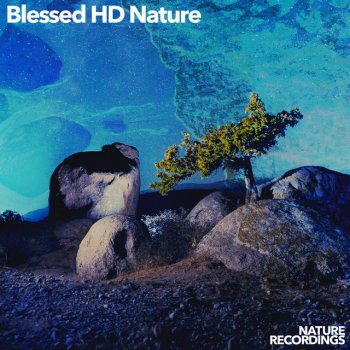 Nature Recordings Sternum Circling