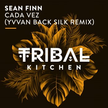 Sean Finn Cada Vez (Yvvan Back Silk Extended Remix)