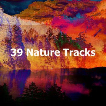 4D Nature Recordings Thunder From The East Then West