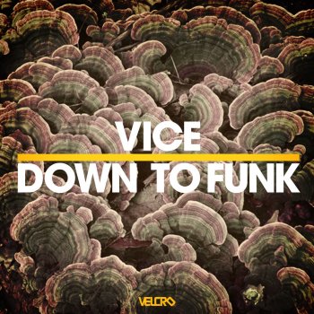 Vice Down To Funk (Original Mix)
